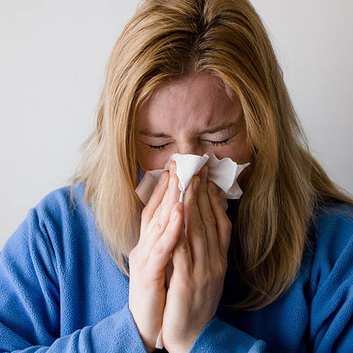 Vue interieure de la Pharmacie Rivoli
